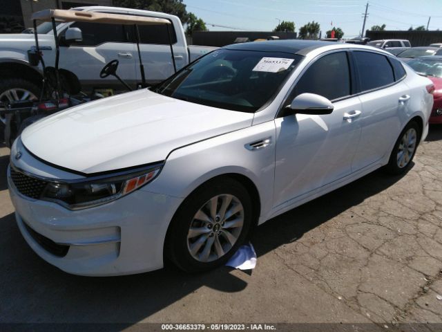 5XXGU4L33JG260781 KIA OPTIMA EX