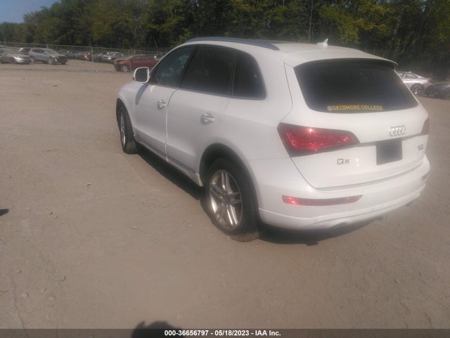 WA1L2AFP8GA088120 Audi Q5 Premium Plus