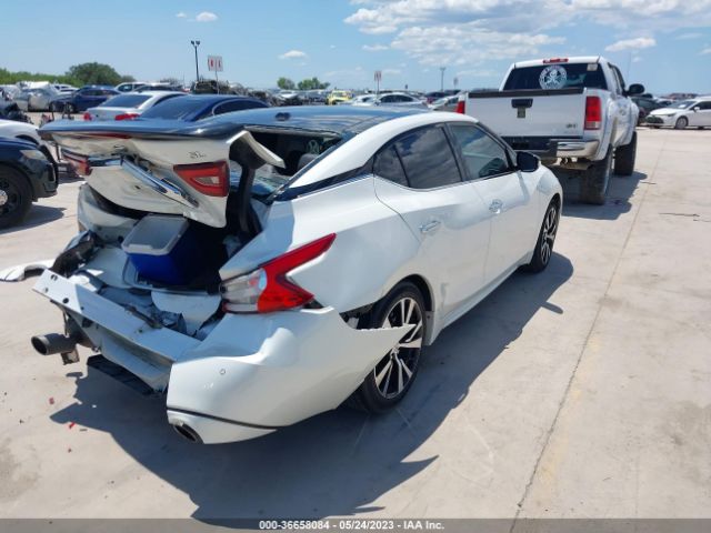 1N4AA6AP8JC389928 Nissan MAXIMA SL