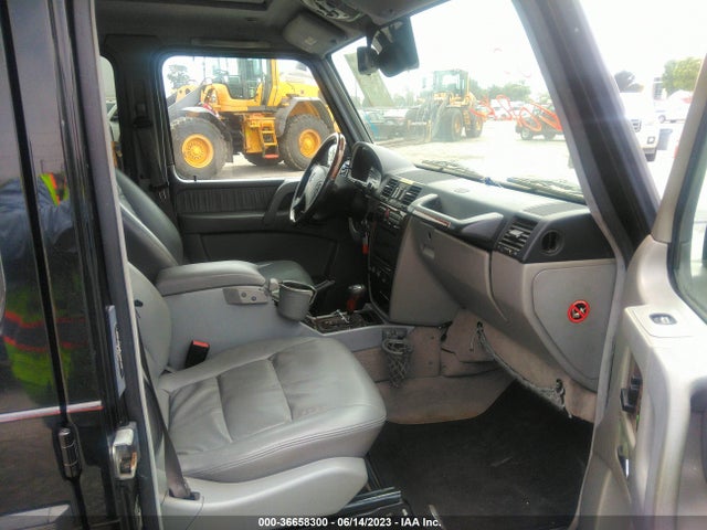 2002 MERCEDES-BENZ G-CLASS VIN: WDCYR49E12X130985