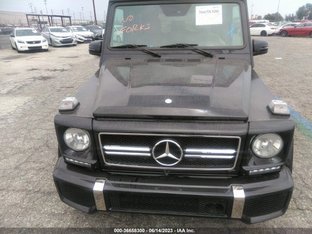 2002 MERCEDES-BENZ G-CLASS VIN: WDCYR49E12X130985