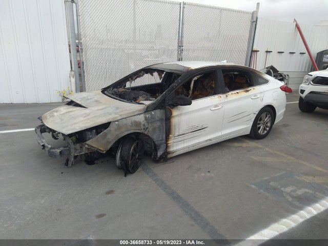 Hyundai Sonata 2.4l 2017 5NPE24AF4HH469164 Image 2