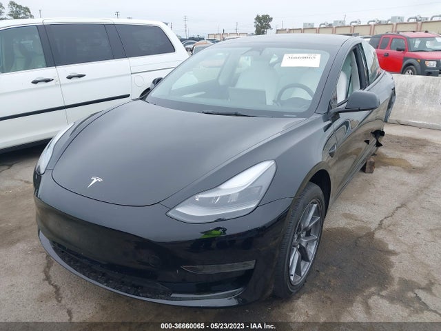 Tesla MODEL 3 2023 5YJ3E1EA0PF383052 Image 2