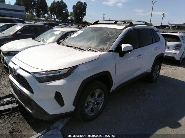 Toyota Rav4 Xle 2022 2T3W1RFV0NC174962 Image 2