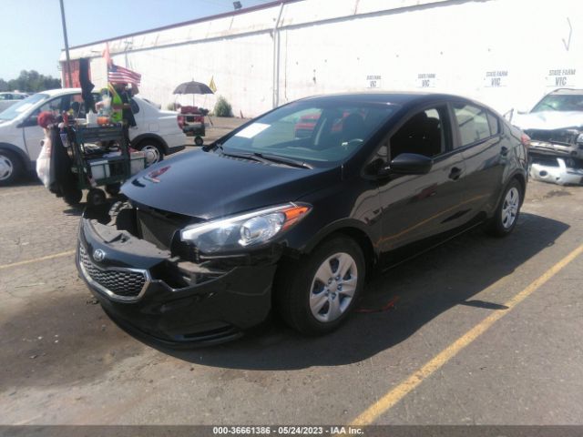 KNAFK4A66G5566284 KIA FORTE LX
