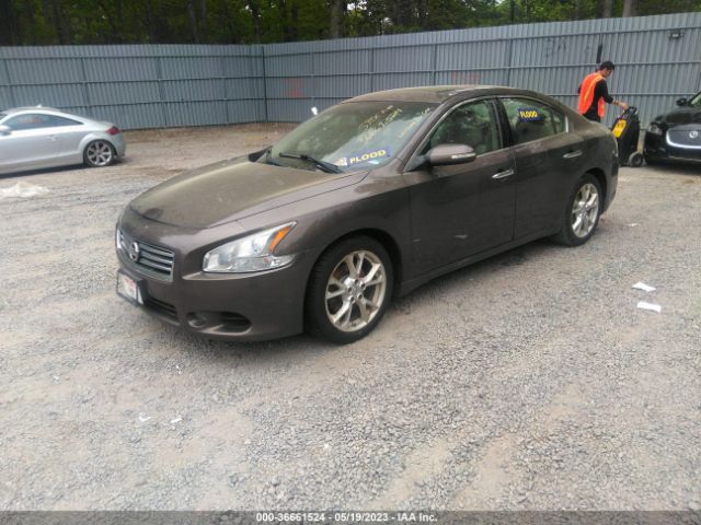 1N4AA5APXEC443102 Nissan Maxima 3.5 Sv