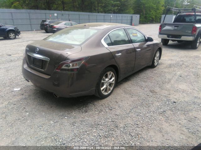 1N4AA5APXEC443102 Nissan Maxima 3.5 Sv