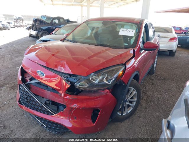 1FMCU0G69LUA35544 Ford ESCAPE SE
