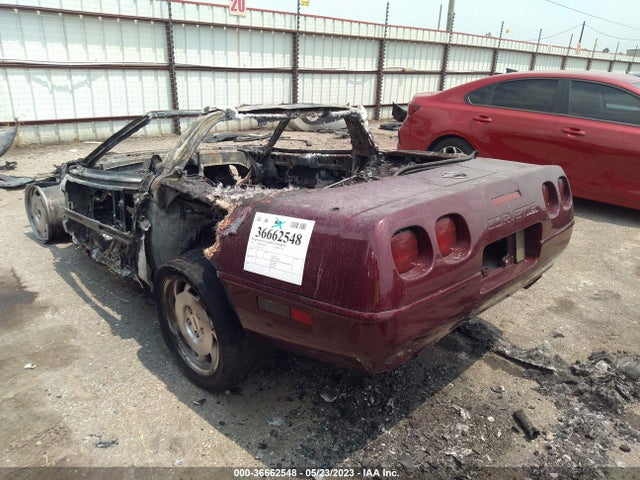 1993 CHEVROLET CORVETTE VIN: 1G1YY23P7P5114051
