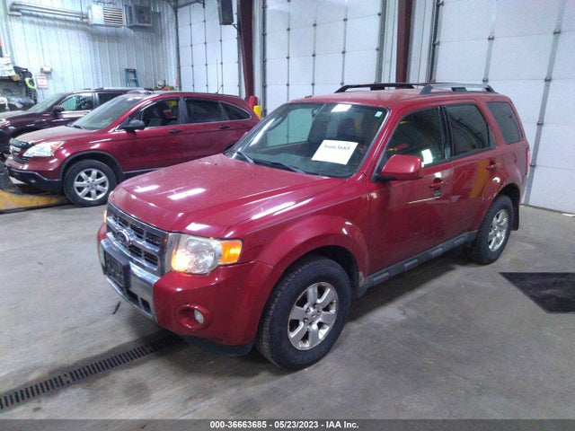 2011 FORD ESCAPE LIMITED VIN: 1FMCU9EGXBKA28242