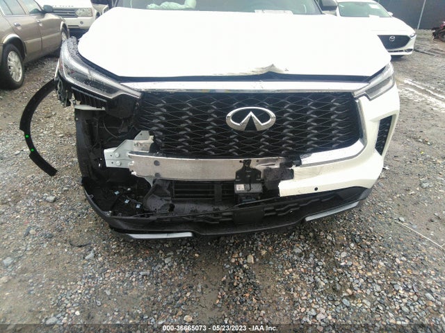 2023 Infiniti QX60, VIN: 5N1DL1HU0PC363490