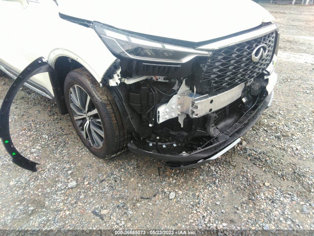 2023 Infiniti QX60, VIN: 5N1DL1HU0PC363490