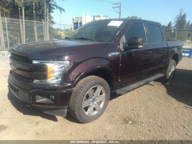1FTEW1E42KKE39679 Ford F-150 Xl/xlt/lariat