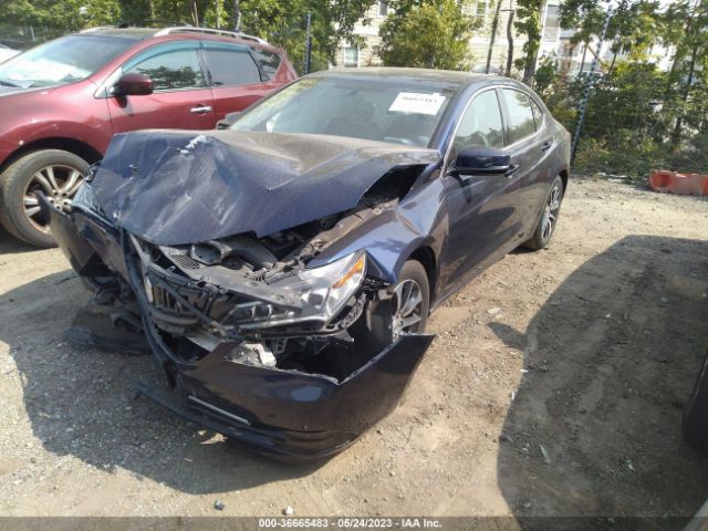 19UUB1F3XHA004339 Acura TLX