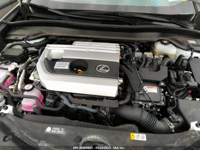 2021 Lexus UX, VIN: JTHP9JBH3M2052969