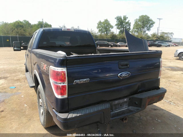 2009 FORD F-150 XL/XLT/FX4/LARIAT VIN: 1FTPX14V49FB18374