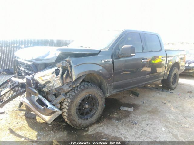 1FTEW1EF7FKD76327 Ford F-150 Xlt/xl/lariat/platinum