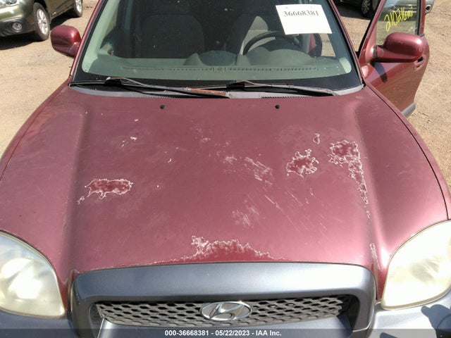 2003 HYUNDAI SANTA FE VIN: KM8SB12B63U386083