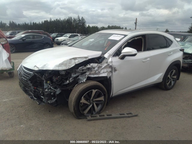 JTJGJRDZ1L5000490 Lexus Nx Nx 300h