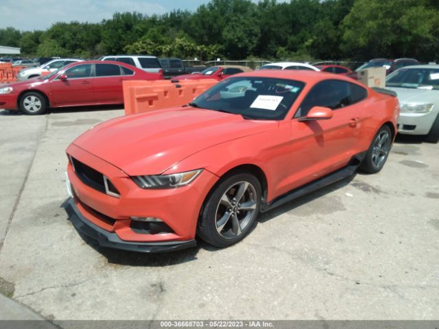 1FA6P8AM0F5353135 Ford Mustang V6