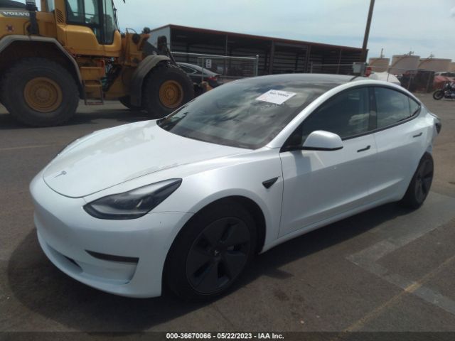 5YJ3E1EA8MF977464 Tesla Model 3 Standard Range Plus