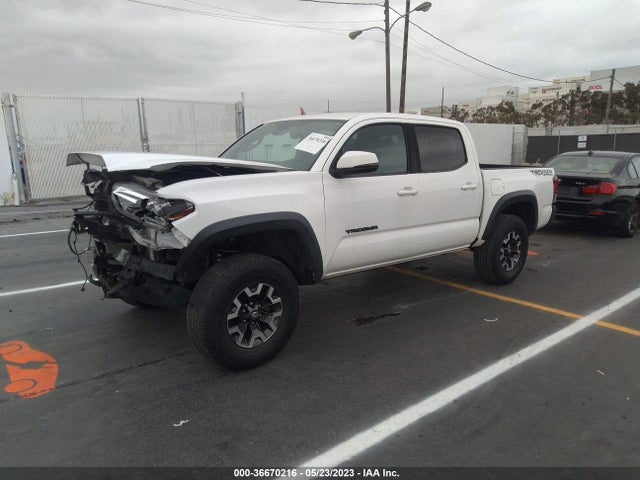 2019 TOYOTA TACOMA 4WD SR/SR5/TRD SPORT VIN: 3TMCZ5AN8KM256381