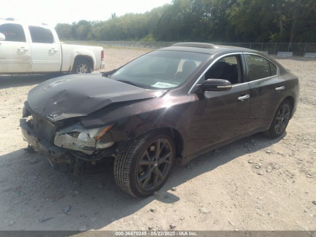 1N4AA5AP2EC491421 Nissan Maxima 3.5 Sv W/sport Pkg