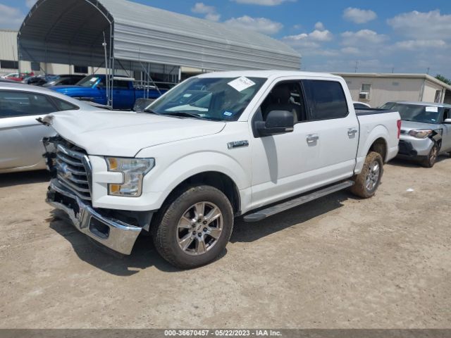 1FTEW1CF5FKD04741 Ford F-150 Xl/lariat