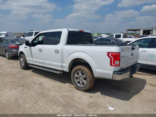1FTEW1CF5FKD04741 Ford F-150 Xl/lariat