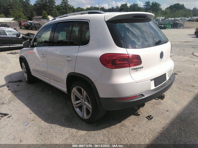 WVGBV3AX7EW026554 Volkswagen Tiguan R-line