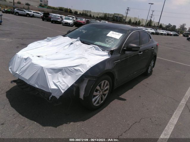 KNAGM4A78F5661466 KIA Optima Lx