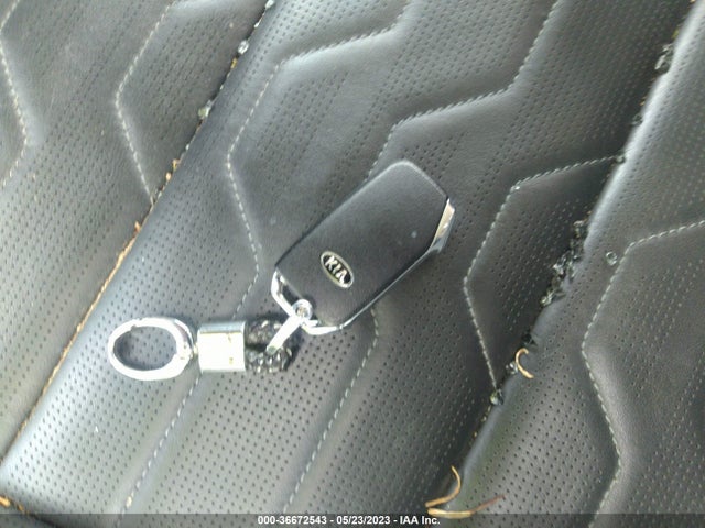 2020 KIA TELLURIDE SX VIN: 5XYP5DHC0LG012637