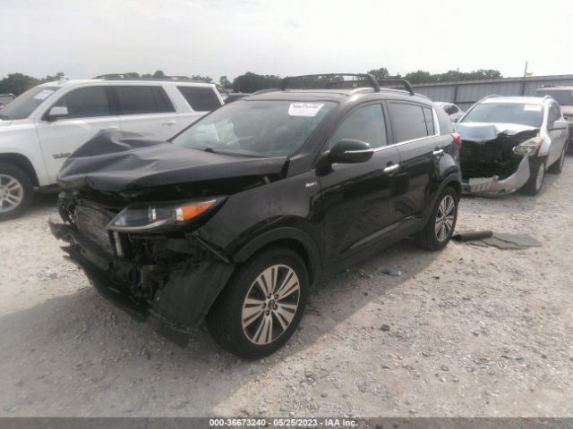 KNDPCCAC3G7803855 KIA Sportage Ex