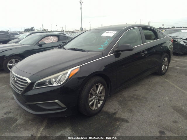 Hyundai Sonata 2.4l Se 2016 5NPE24AF7GH293824 Image 2