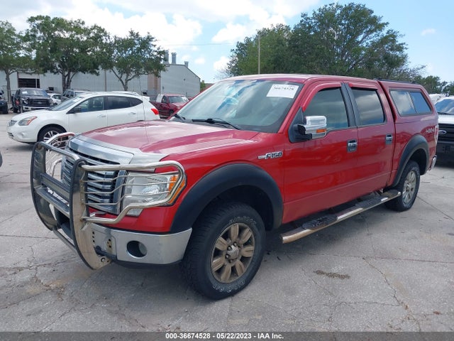 2010 FORD F-150 XL/XLT VIN: 1FTEW1E89AFA96153