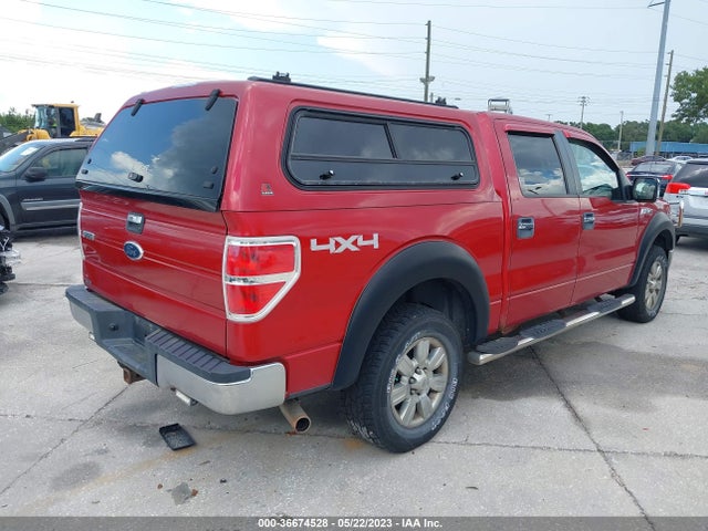 2010 FORD F-150 XL/XLT VIN: 1FTEW1E89AFA96153