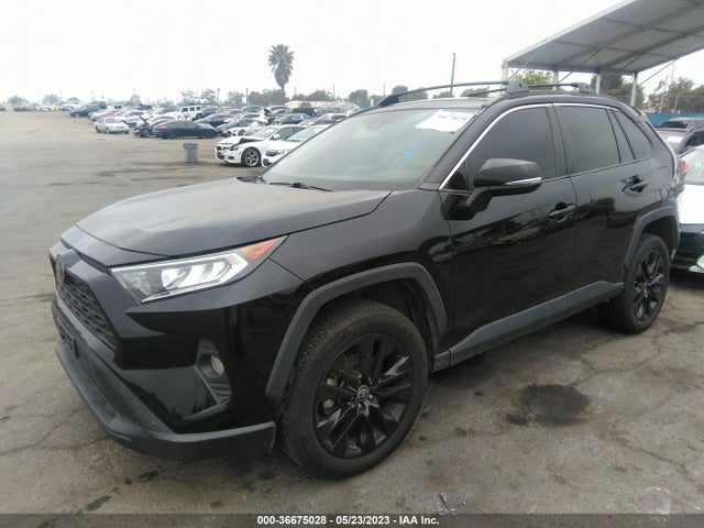 Toyota Rav4 Xle 2019 2T3W1RFV5KW026624 Image 2