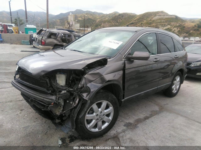 2009 HONDA CR-V EX-L VIN: 5J6RE48719L046864