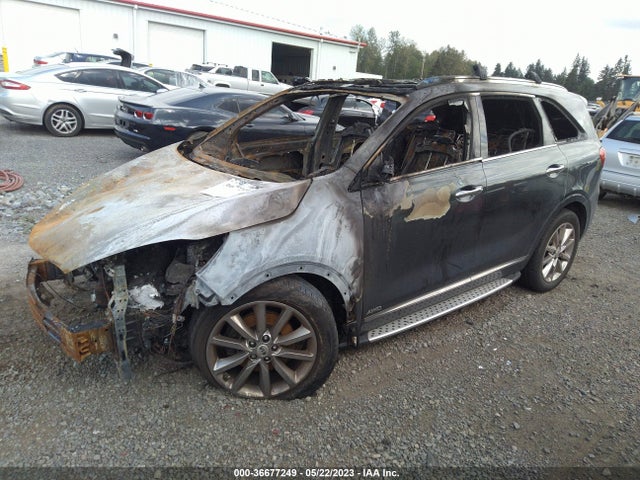 KIA Sorento Sxl 2016 5XYPKDA50GG094315 Image 2