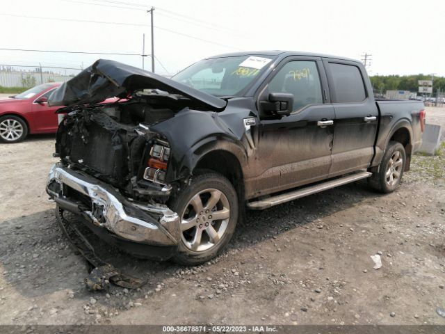 1FTFW1E89MFC22388 Ford F-150 Xl/xlt/lariat