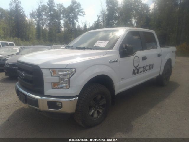 1FTEW1EP9FKD90979 Ford F-150 Xlt/xl/lariat
