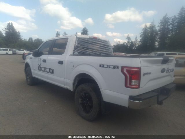 1FTEW1EP9FKD90979 Ford F-150 Xlt/xl/lariat