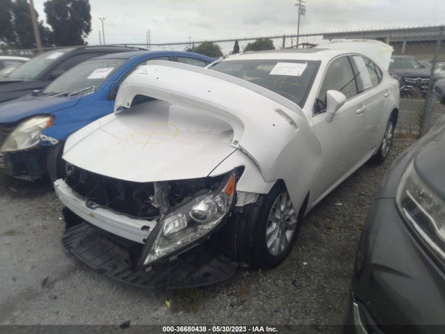 JTHBW1GG3E2063491 Lexus Es 300h Hybrid
