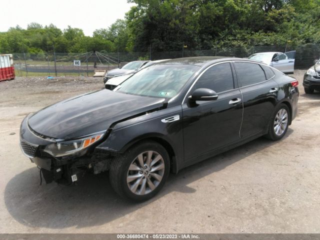 5XXGU4L34GG093856 KIA OPTIMA EX