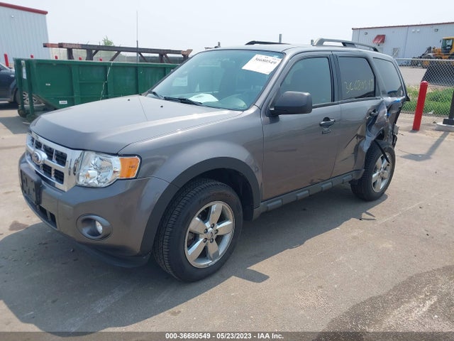 2011 FORD ESCAPE XLT VIN: 1FMCU9DG3BKB14204