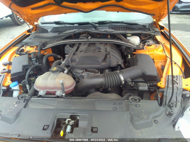 Ford Mustang Ecoboost 2019 1FA6P8TH3K5119128 Image 10