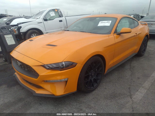 Ford Mustang Ecoboost 2019 1FA6P8TH3K5119128 Image 2