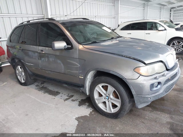 2006 BMW X5 4.4I VIN: 5UXFB53596LV24682