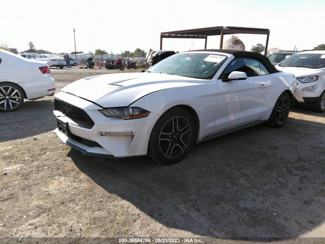 Ford Mustang Ecoboost 2019 1FATP8UH6K5162234 Image 2