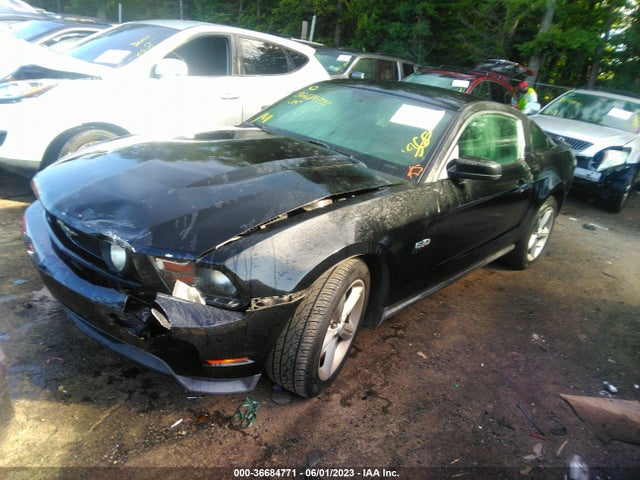2011 FORD MUSTANG GT VIN: 1ZVBP8CF1B5151354